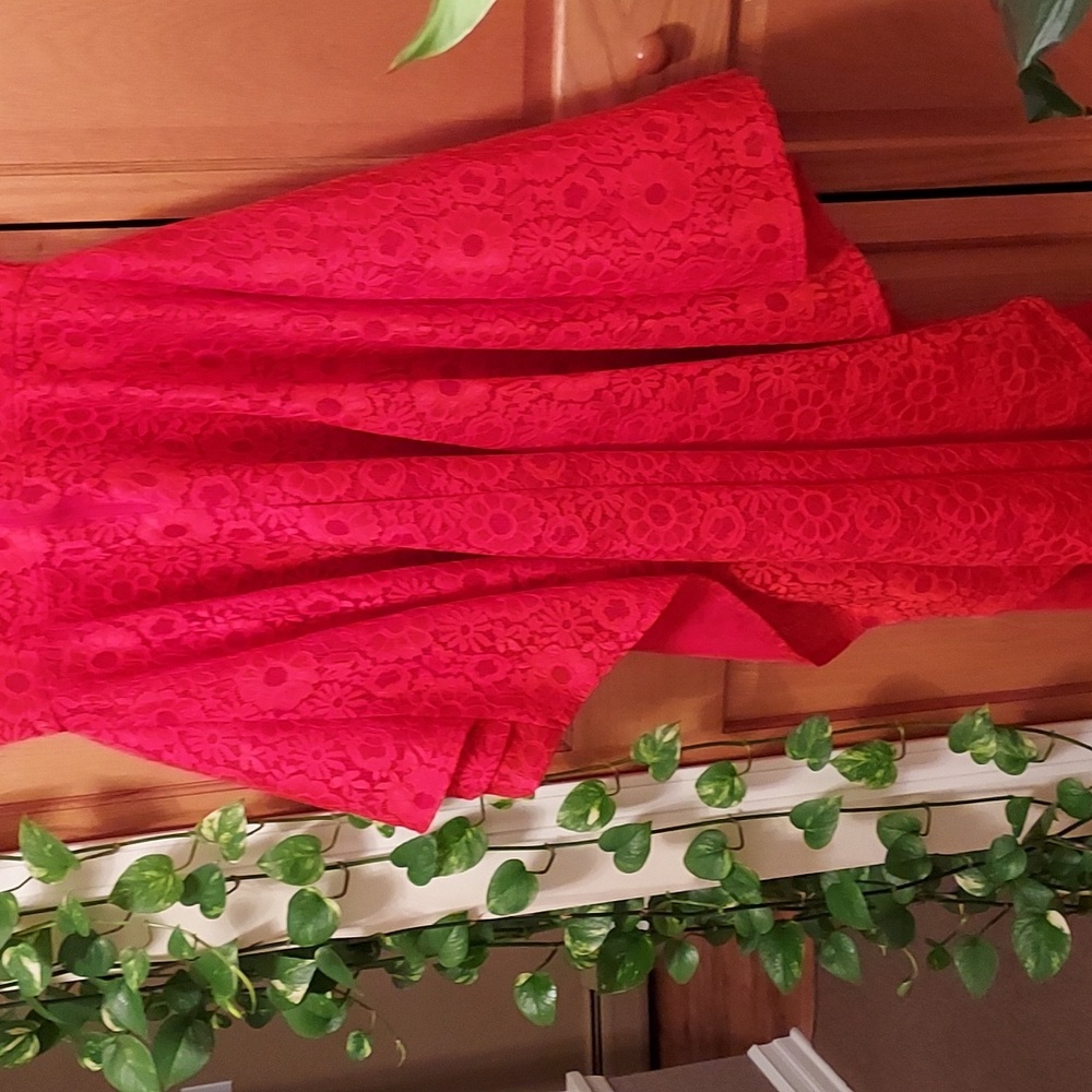 EIEN EUC Red Lace Dress - Picture 6 of 12